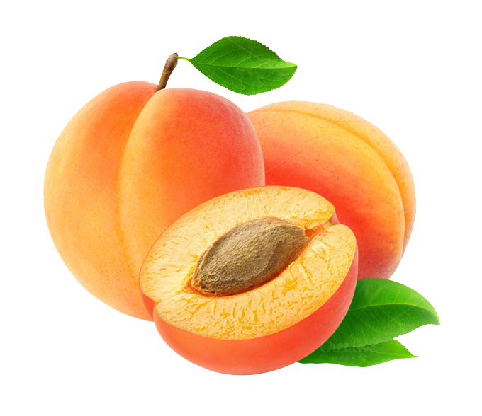 apricot logo